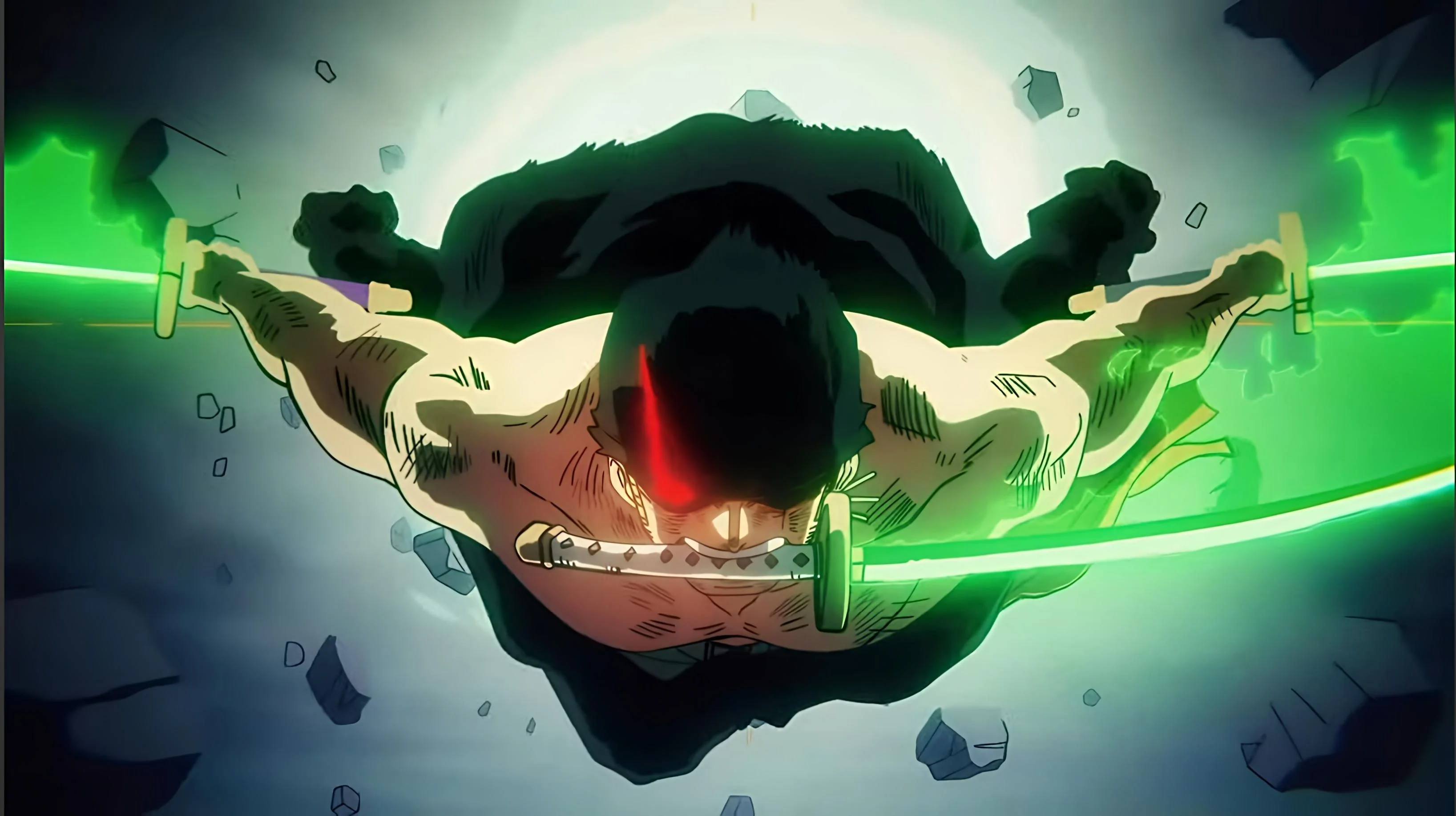one piece roronoa zoro
